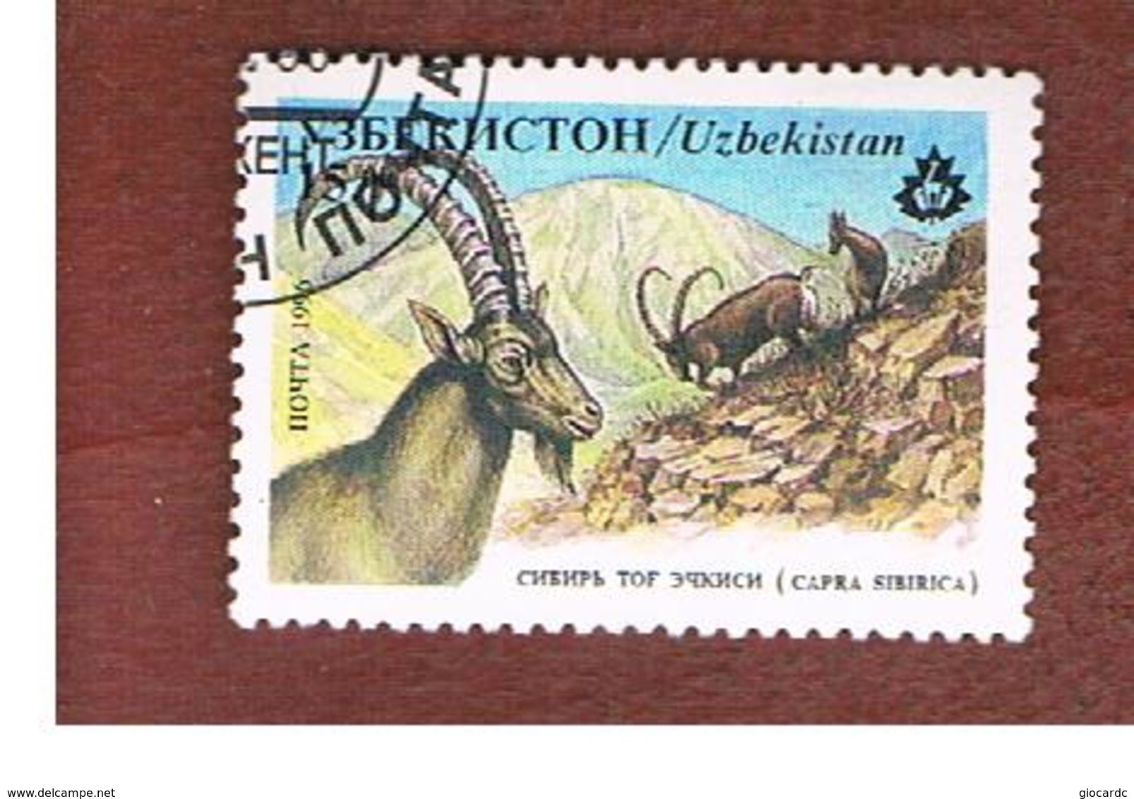 UZBEKISTAN   - SG 115   - 1996 ANIMALS: CAPRA SIBIRICA   -   USED - Uzbekistan