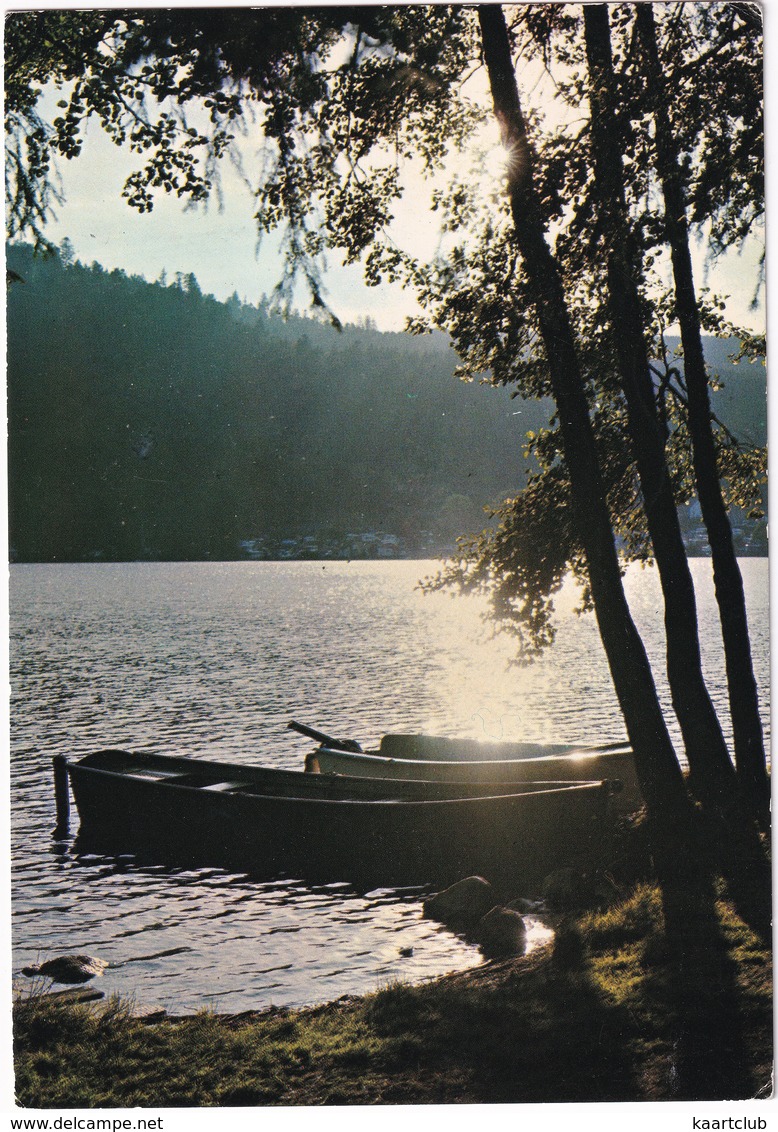 Xonrupt - Longemer : Son Lac  - (Vosges) - Saint Die