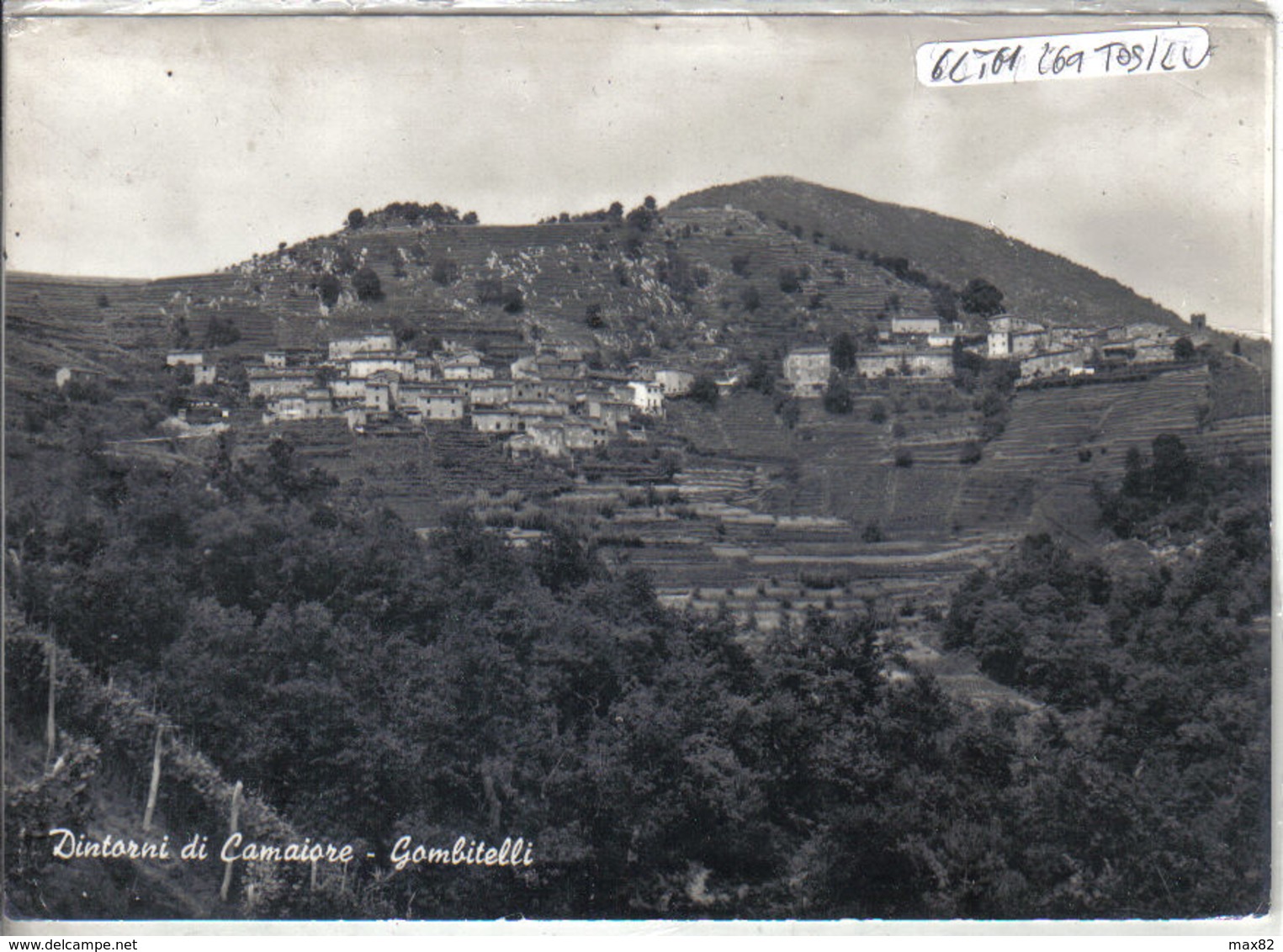 CAMAIORE - GOMBITELLI - Lucca