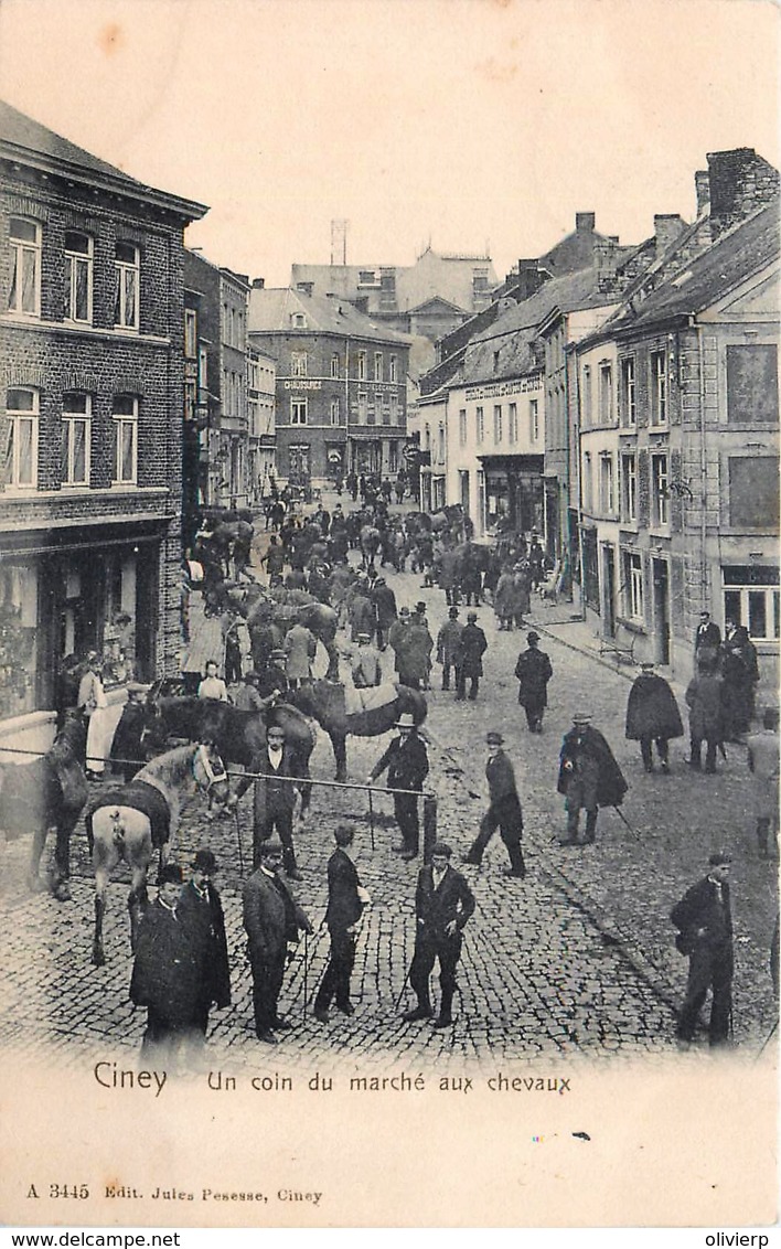 Belgique - Ciney - Un Coin Du Marché Aux Chevaux - Edit. Hoffmann N° 3445 - Ciney