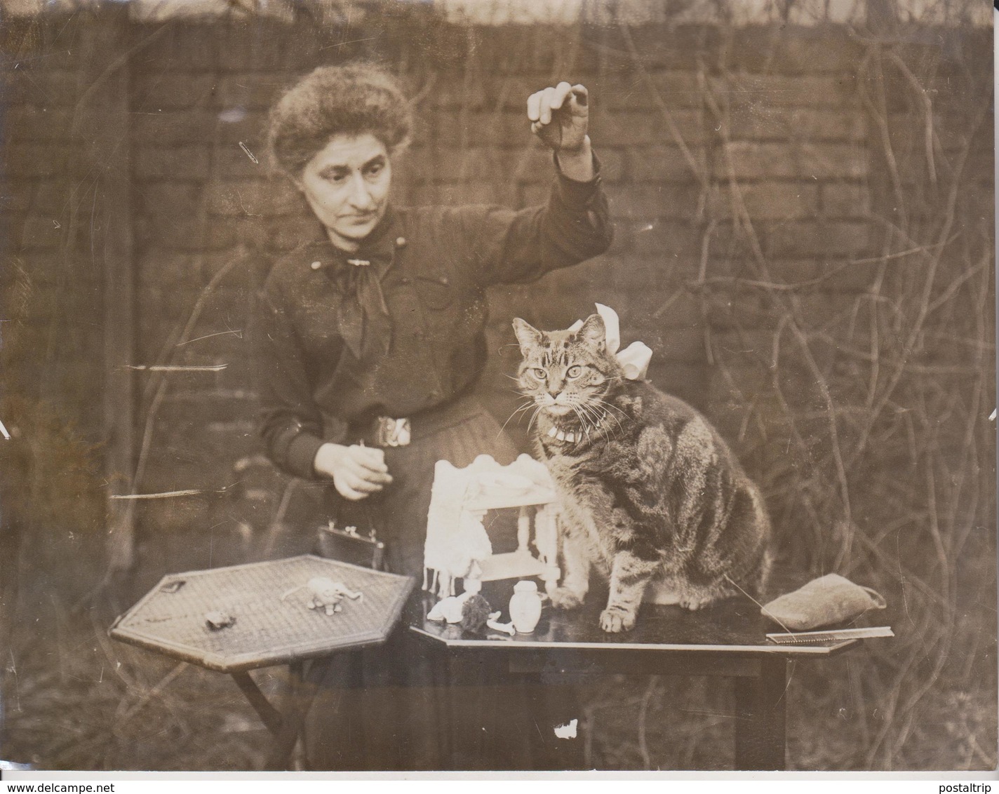 HEAVIEST CAT IN ENGLAND ASHLEY HOLLAND PARK GATO CHAT KAT CAT 21* 16CM Fonds Victor FORBIN 1864-1947 - Otros & Sin Clasificación
