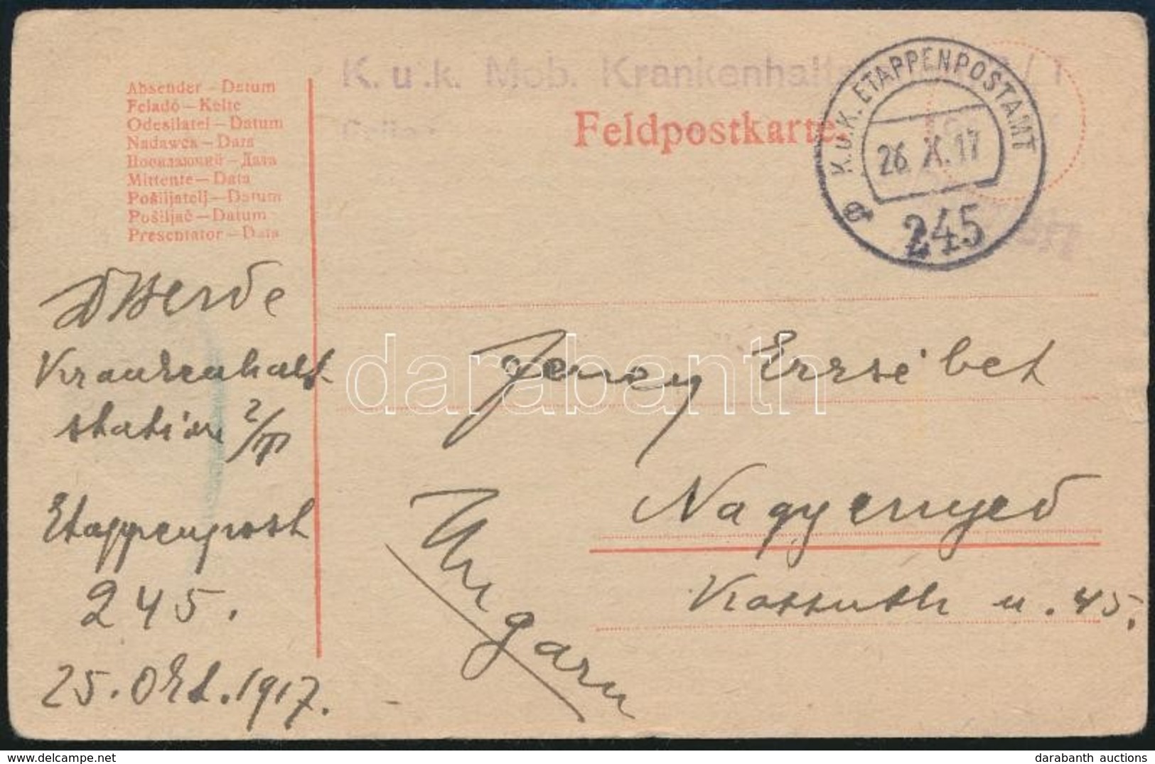 1917 Tábori Posta Levelezőlap 'K.u.k. Mob. Krankenhaltstation 2/T' + 'EP 245 A' - Autres & Non Classés