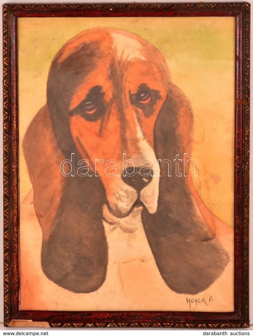Heyer Jelzéssel: Kutya Fej. Akvarell, Papír (foltos), üvegezett Keretben, 34×24 Cm - Autres & Non Classés