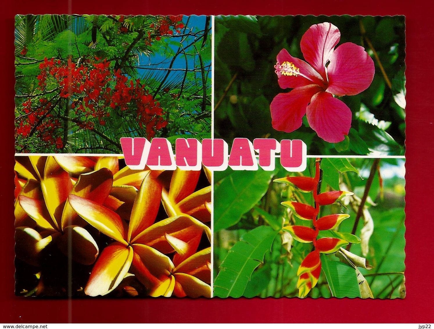 CP Océanie Vanuatu Tropical Flowers - Plantes Fleurs Fleur Poinciana Hibiscus Frangipani Bec Du Perroquet - Vanuatu