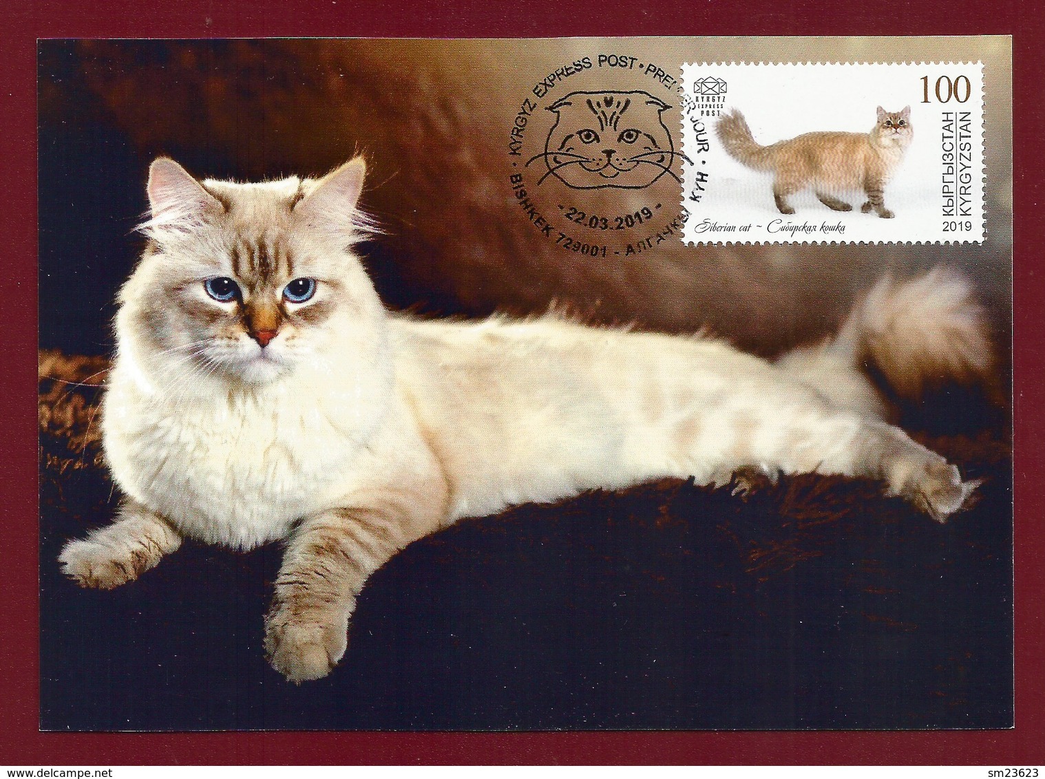 Kirgisistan 2019 Mi.Nr. 126 , Siberian Cat  - Maximum Card 45 - First Day Kyrgyz Express Post 22.03.2019 - Kyrgyzstan