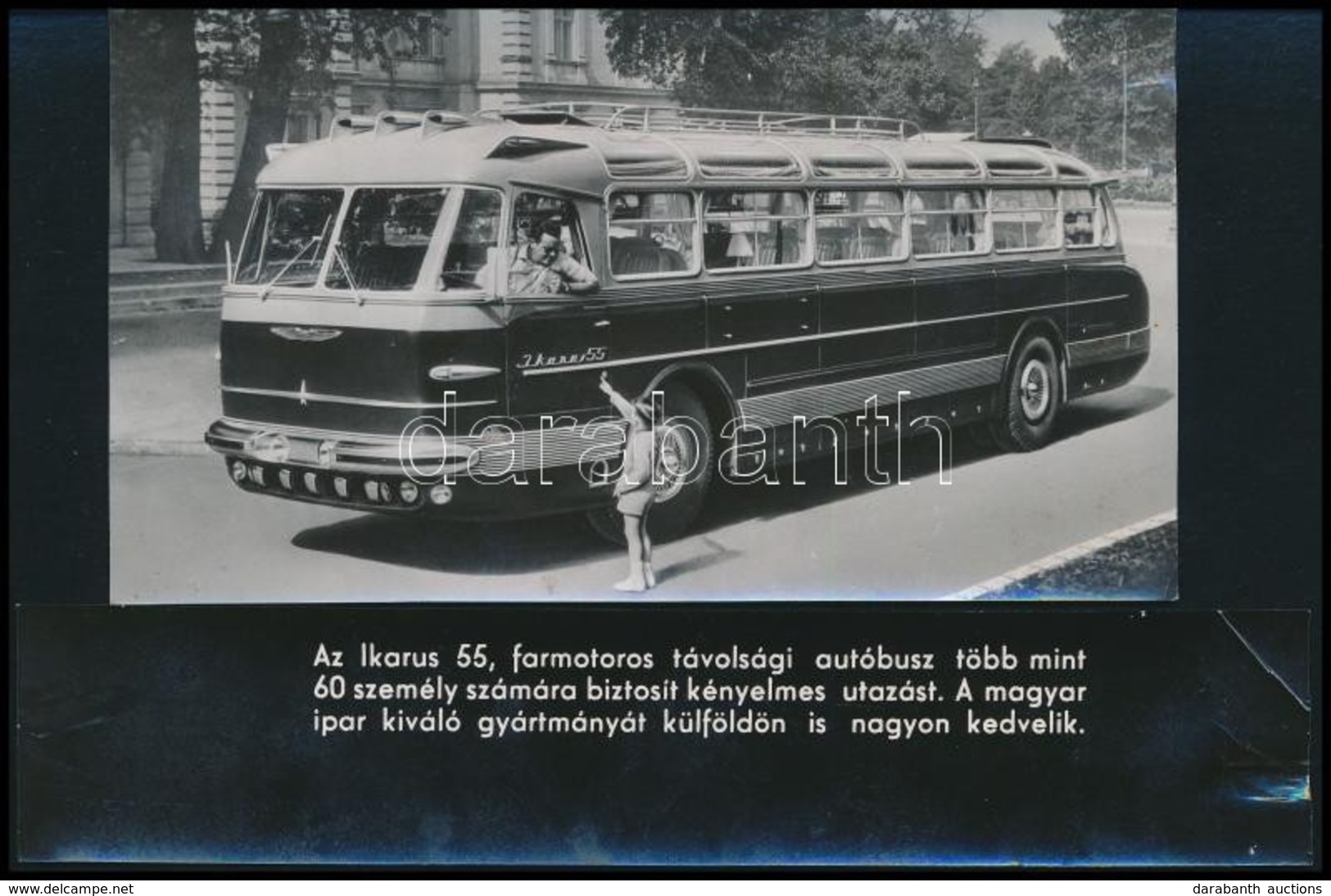 Ikarus 55 Farmotoros Távolsági Autóbusz, Eredeti Sajtófotó, Külön Felirattal, 8×15 Cm - Other & Unclassified