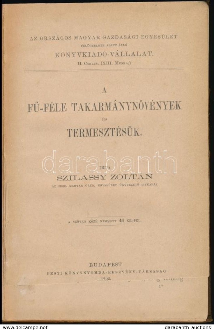 Szilassy Zoltán: A Fű-féle Takarmánynövény és Termesztésük. Bp., 1892, Pesti Könyvnyomda Rt., 204+2 P. Későbbi átkötött  - Unclassified