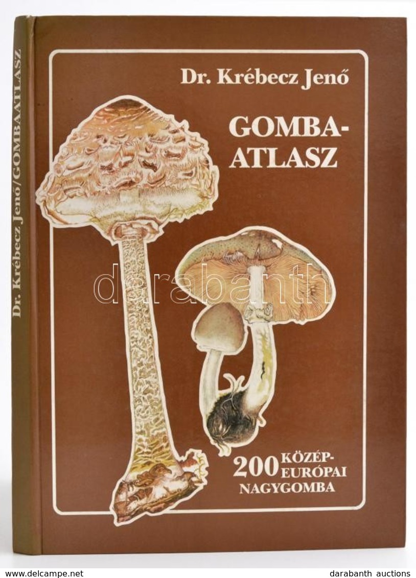Dr. Krébecz Jenő: Gombaatlasz. Bp., 1988, Pallas. Kiadói Kartonált Papírkötés. - Non Classés