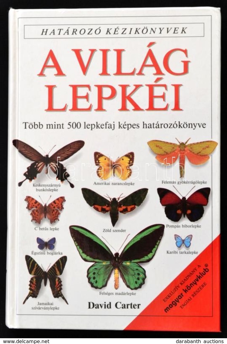 David Carter: A Világ Lepkéi. Határozó Kézikönyvek. Több Mint 500 Lepkefaj Képes Határozókönyve. Bp., 1994. Pnaem. Kiadó - Non Classés