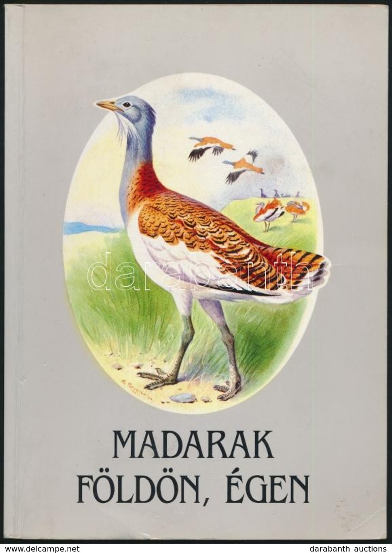 Schmidt Egon: Madarak Földön, égen. Robin Reckitt és Budai Tibor Illusztrációival. Bp.,1992, Magyar Madártani és Termész - Zonder Classificatie