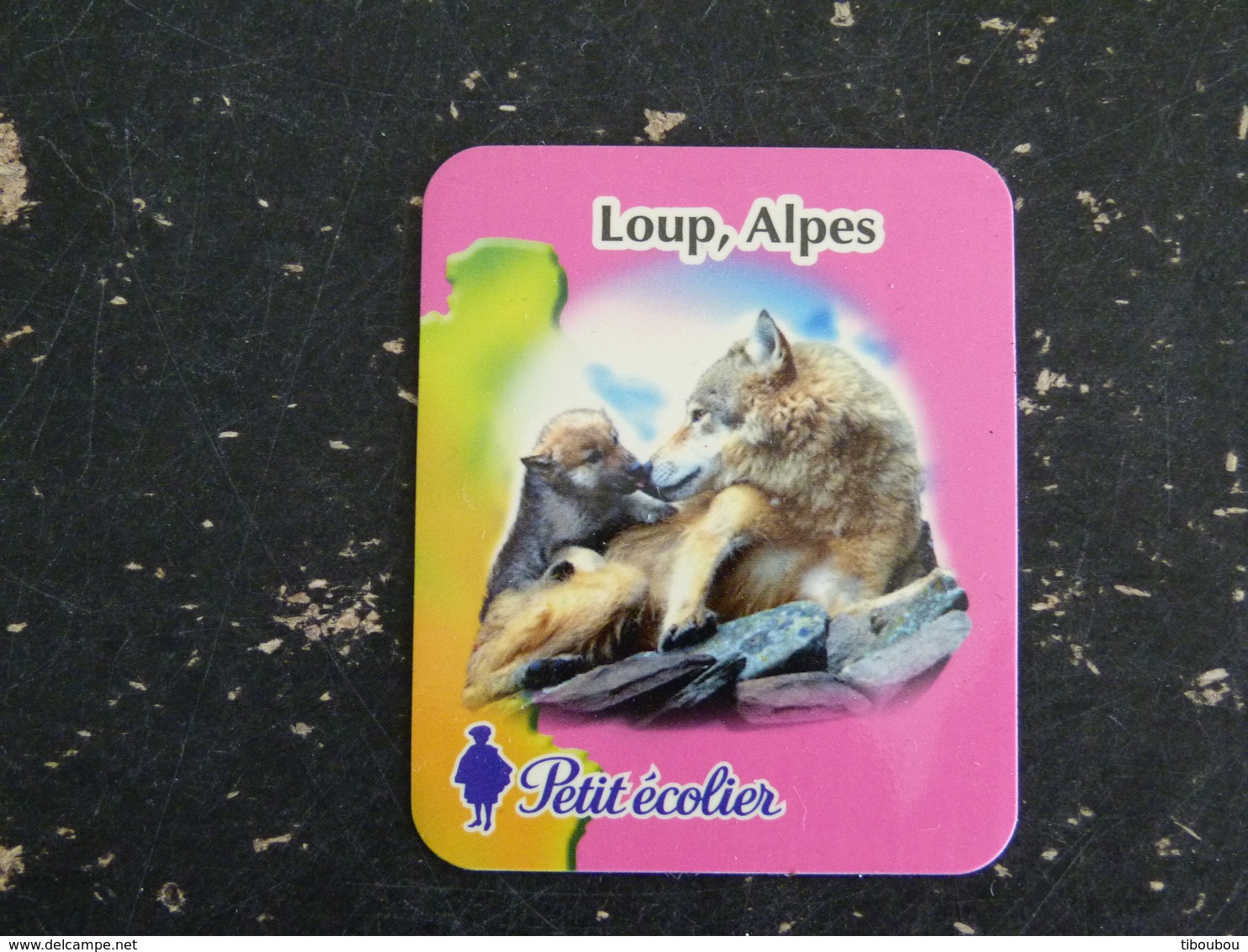 MAGNET PETIT ECOLIER LOUP WOLF ALPES - Pubblicitari