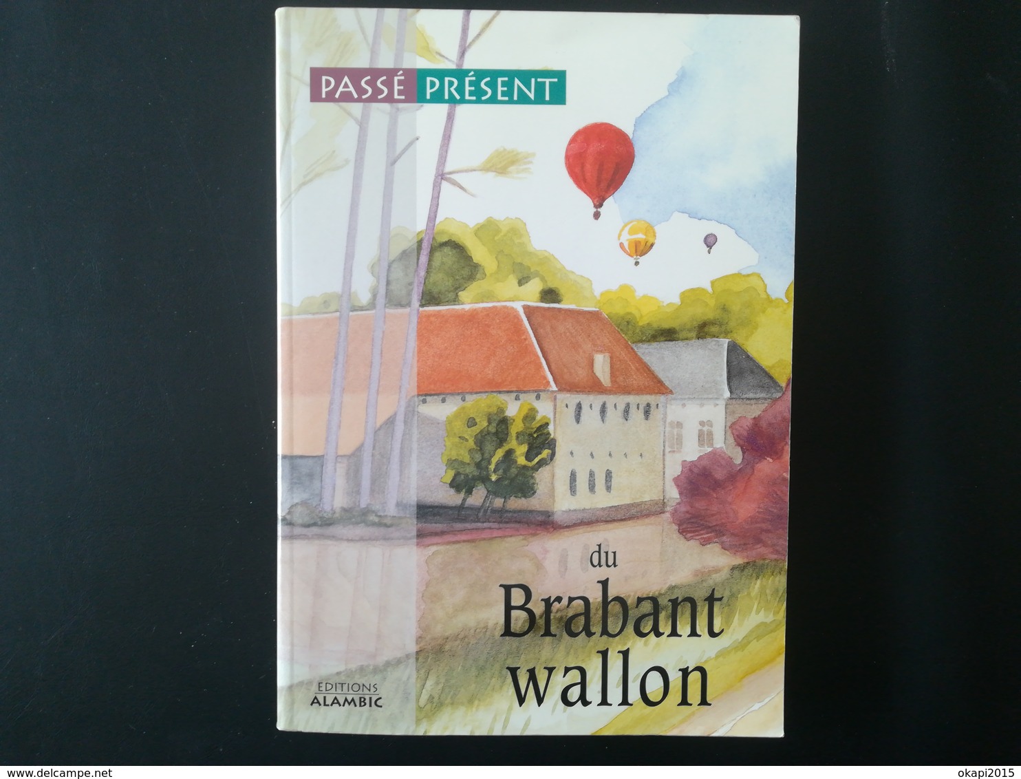 PASSÉ PRÉSENT BRABANT WALLON LIVRE RÉGIONALISME BELGIQUE WALLONIE BRABANT WALLON ANNÉE 1996 - Belgique