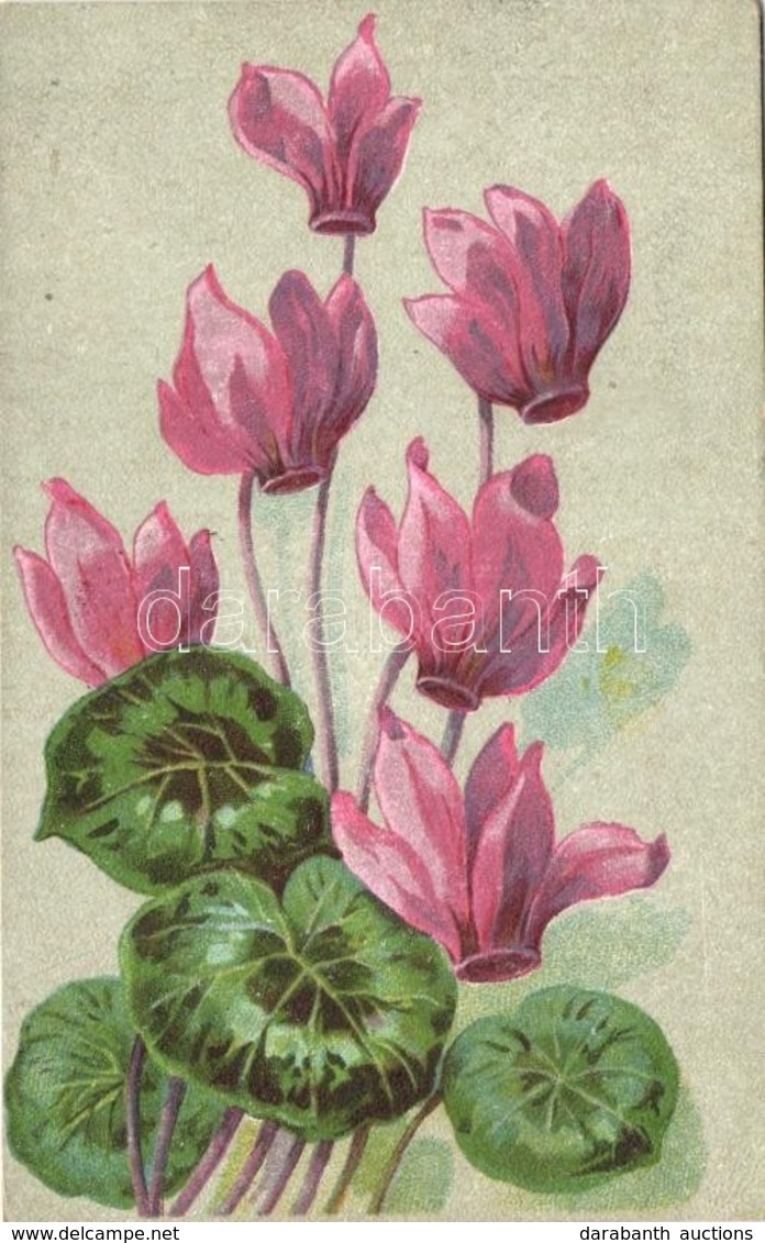 T2/T3 Flowers, Litho (EK) - Ohne Zuordnung