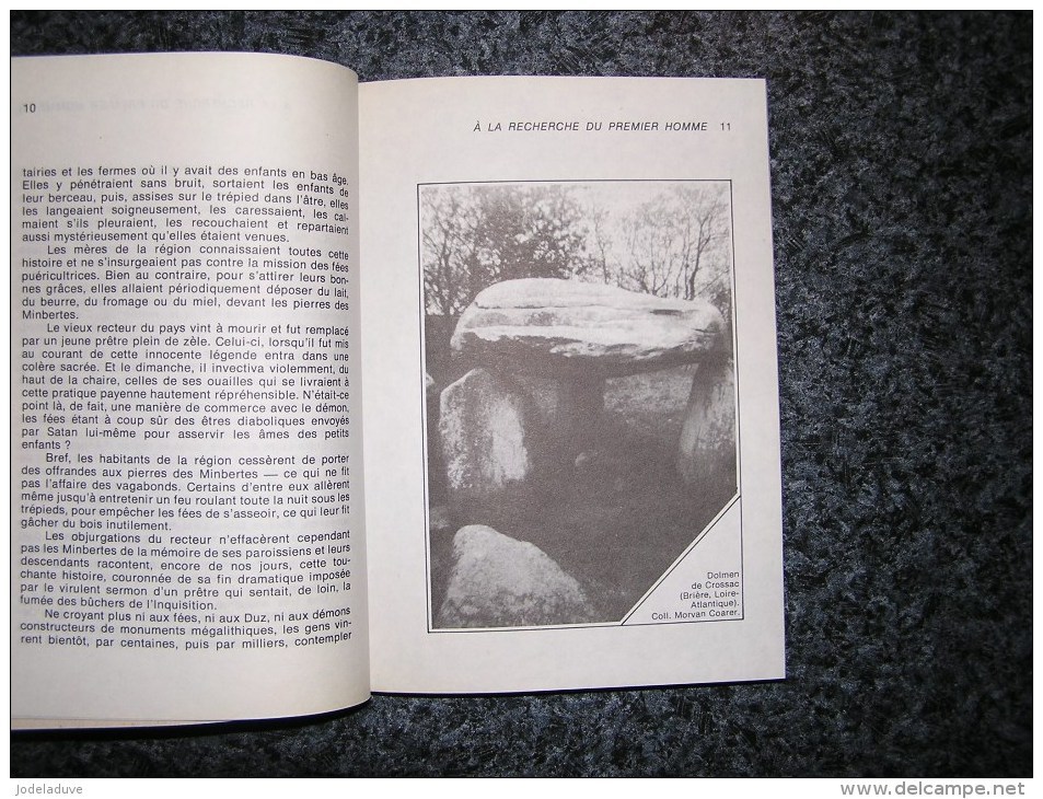 L' ENIGME DES MEGALITHES E Coarer Kalondan Archéologie Histoire Menhirs Pierres Menhir Bretagne Druide - Archéologie