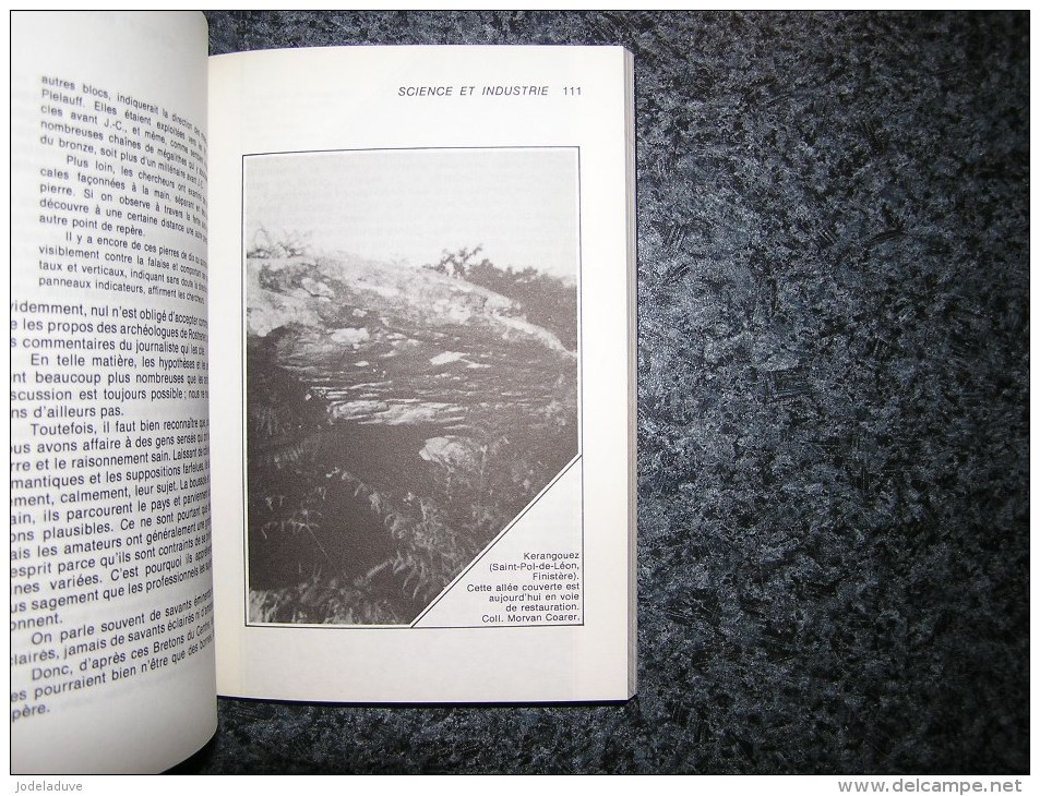 L' ENIGME DES MEGALITHES E Coarer Kalondan Archéologie Histoire Menhirs Pierres Menhir Bretagne Druide