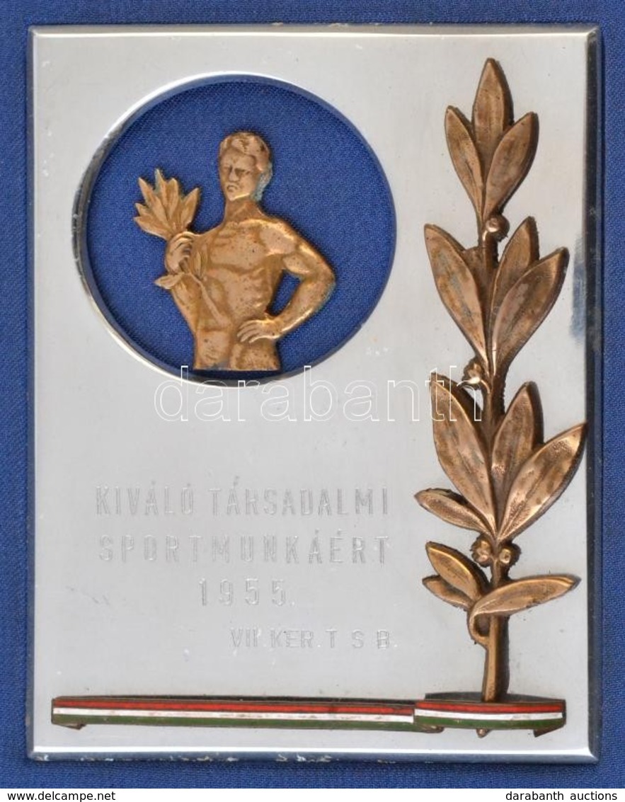 1955. 'Kiváló Társadalmi Munkáért 1955 VII. Ker. T.S.B.' Aranyozott, Zománcozott Fém Plakett Tokba Rögzíte (100x75mm) T: - Non Classés