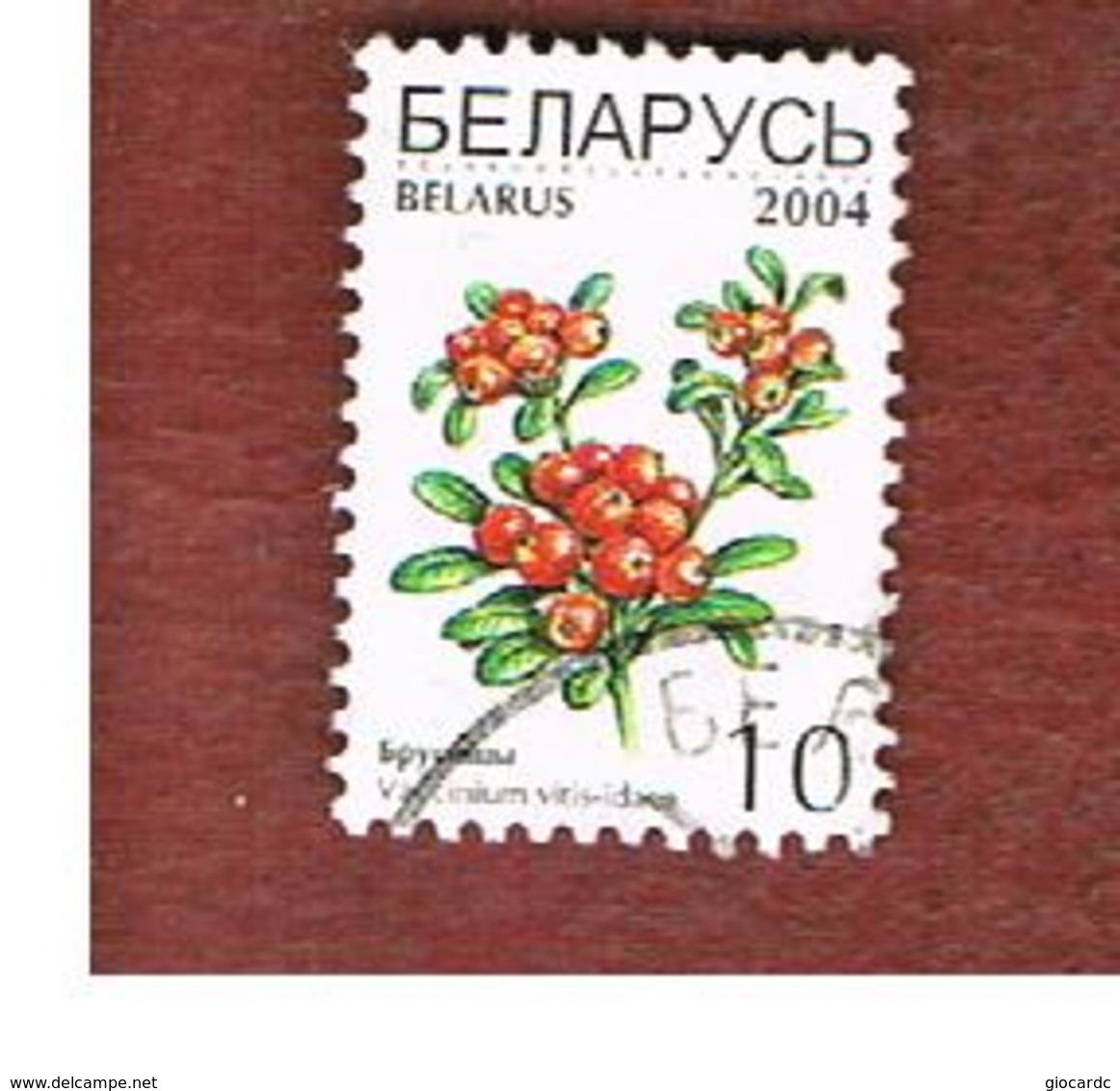 BIELORUSSIA (BELARUS)   - MI 517I - 2004 PLANTS: CRAN       BERRIES  USED - Bielorussia