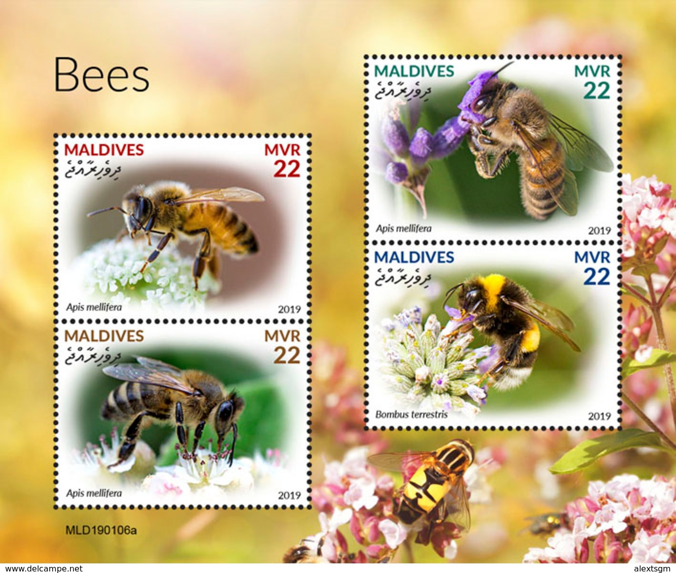 MALDIVES 2019 - Bees. Official Issue [MLD190106a] - Honeybees