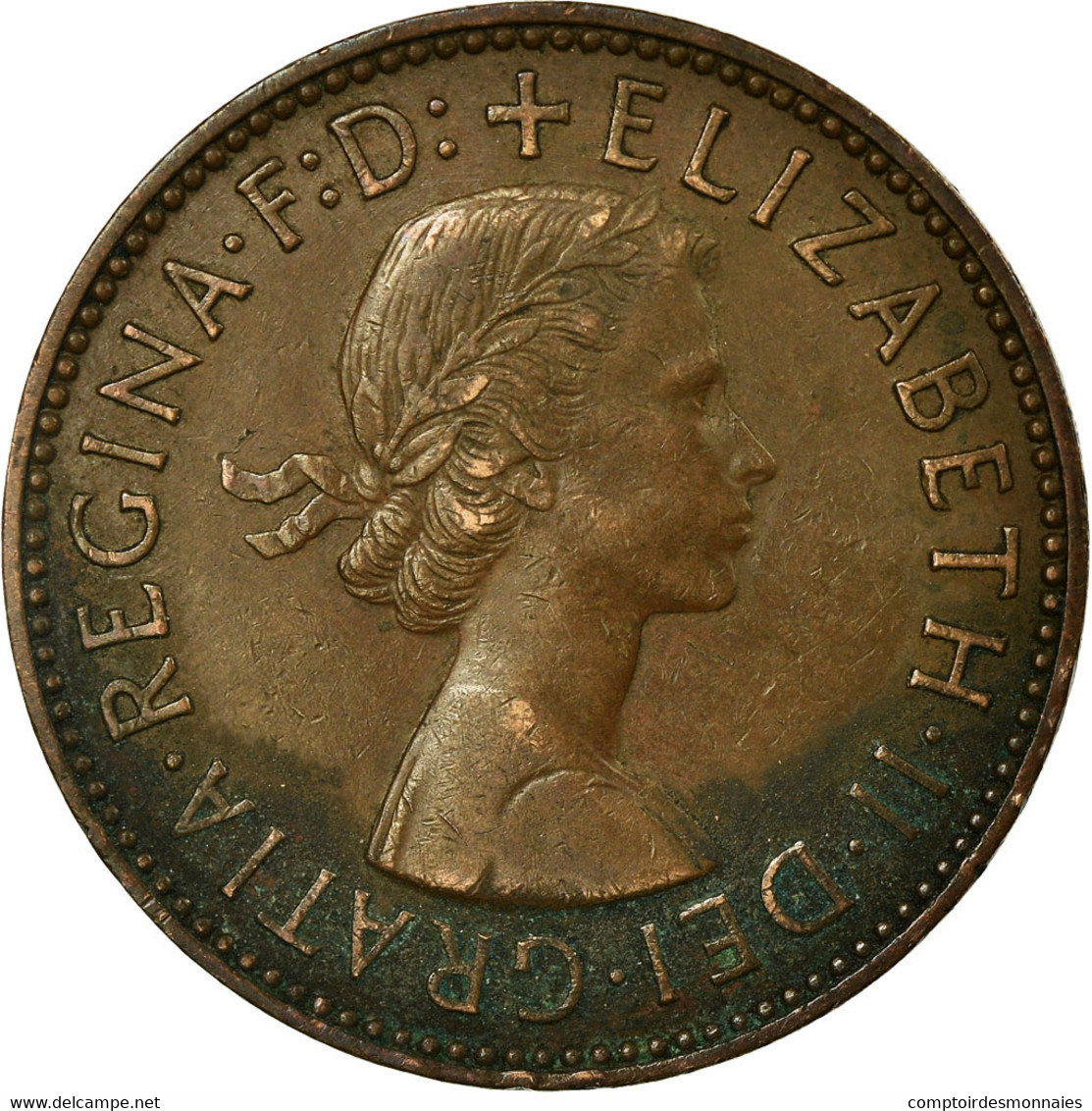 Monnaie, Grande-Bretagne, Elizabeth II, 1/2 Penny, 1955, TB+, Bronze, KM:896 - C. 1/2 Penny