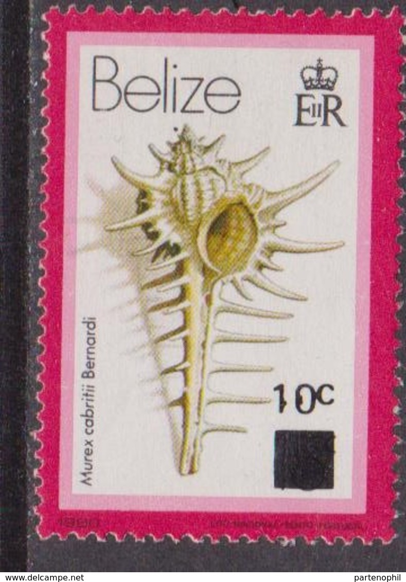 Belize 980 Shell Set   MNH - Schelpen