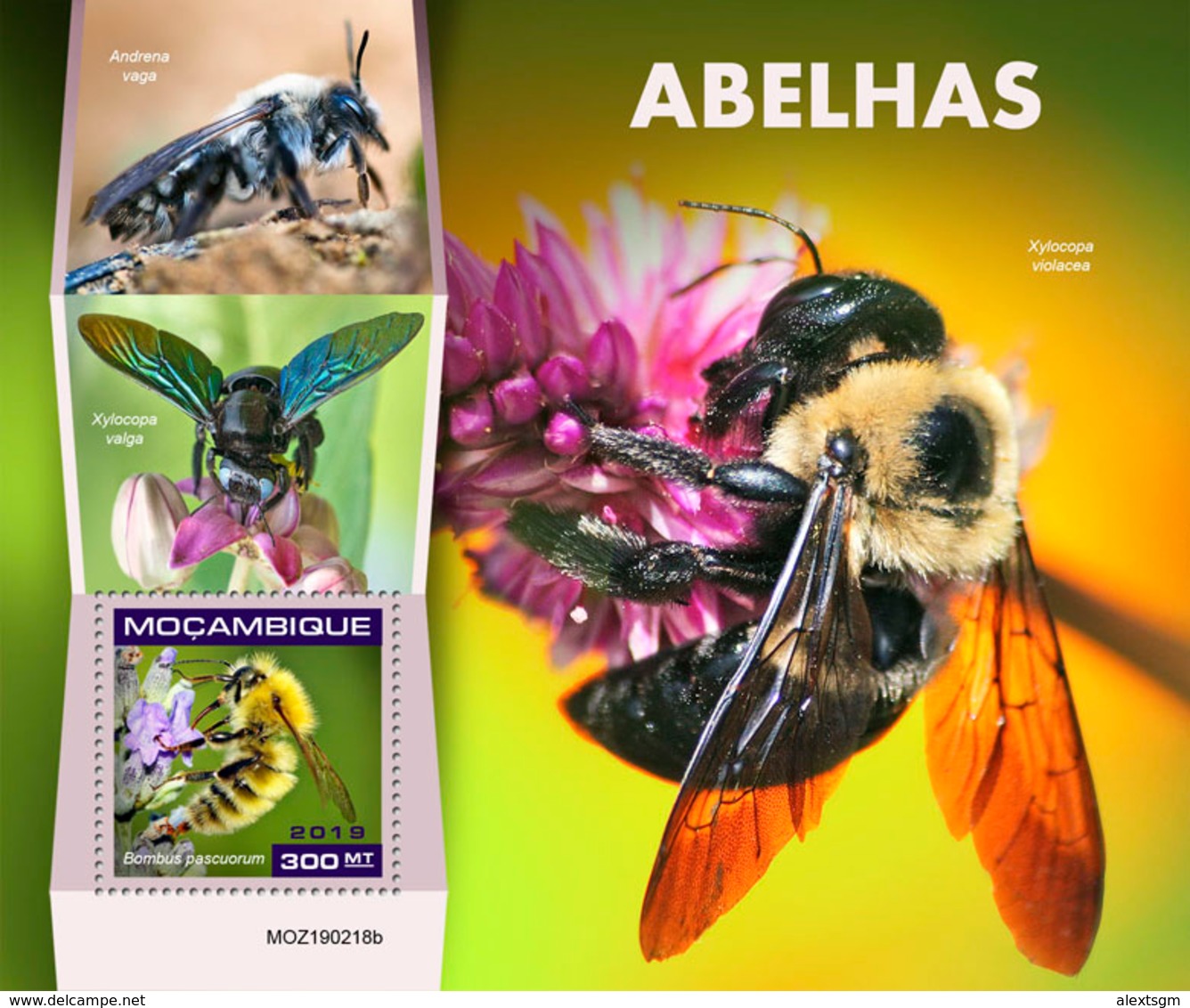 MOZAMBIQUE 2019 - Bees S/S. Official Issue - Honeybees