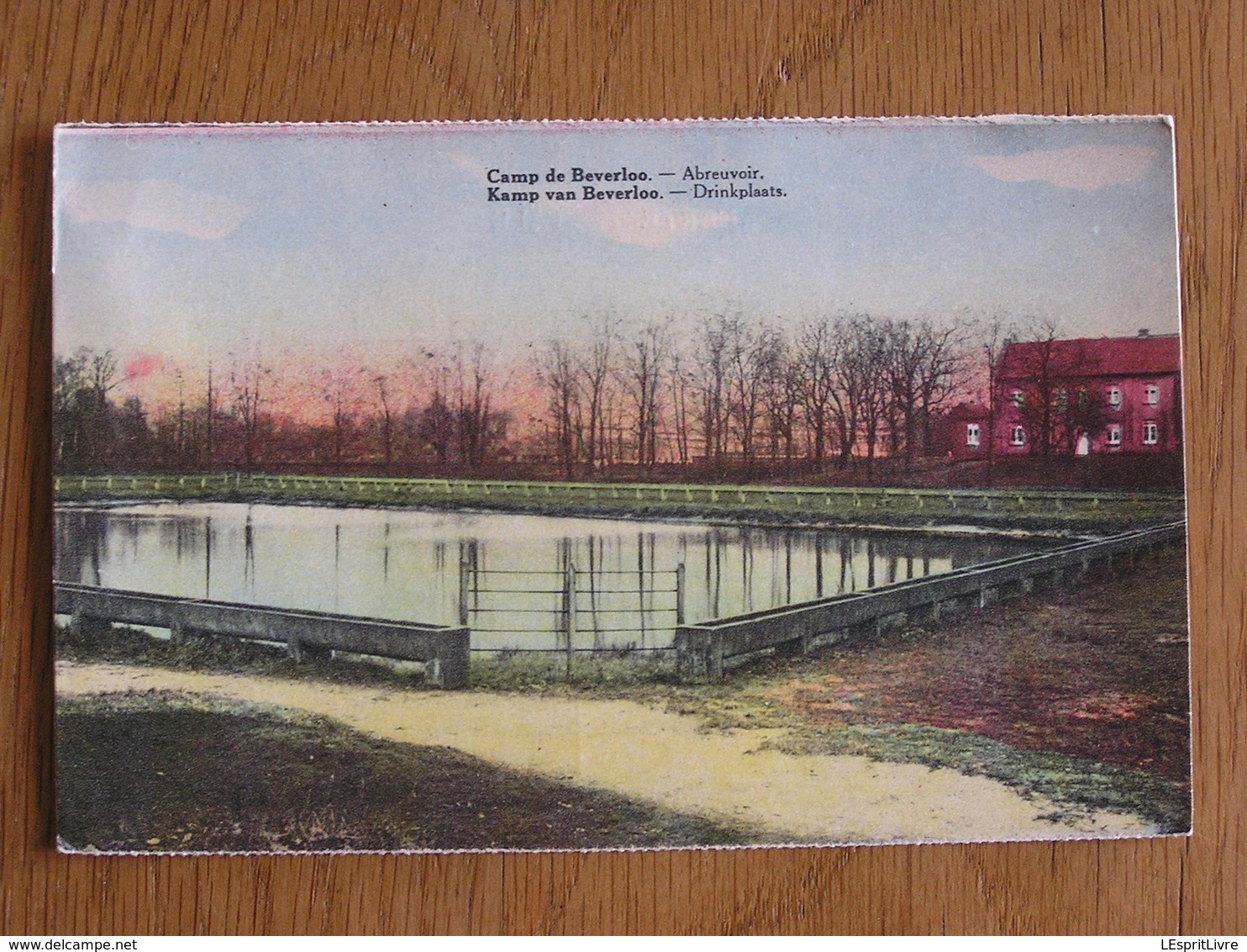 BEVERLOO Drinkplaats Abreuvoir  Caserne Camp Militaire Limburg Limbourg Belgique Carte Postale - Beringen