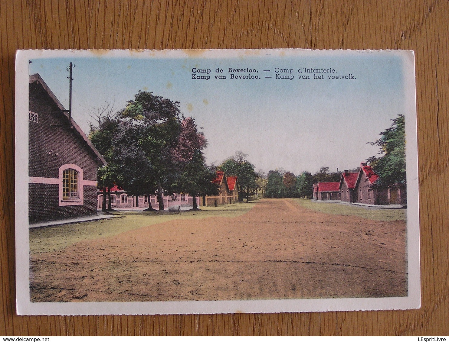 BEVERLOO Kamp Van Het Voetvolk Camp D'Infanterie Caserne Militaire Limburg Limbourg Belgique Carte Postale - Beringen