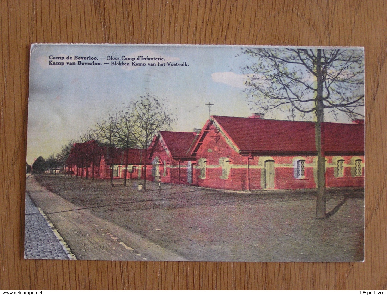 BEVERLOO Blokken Kamp Van Het Voetvolk Blocs Camp D'Infanterie Caserne Militaire Limburg Limbourg Belgique Carte Postale - Beringen