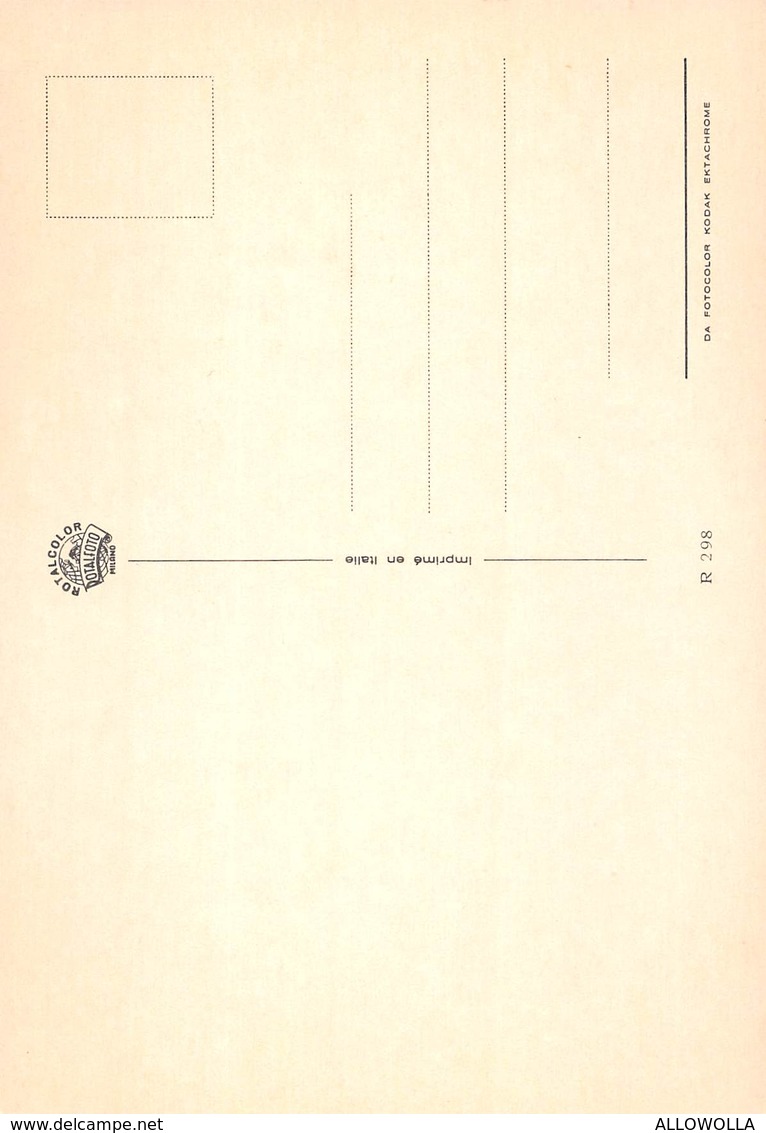 3706 "FIORI VARI-MINI LOTTO DI 10 CARTOLINE FLOREALI" CART. POST. OR. NON SPED. - Fleurs