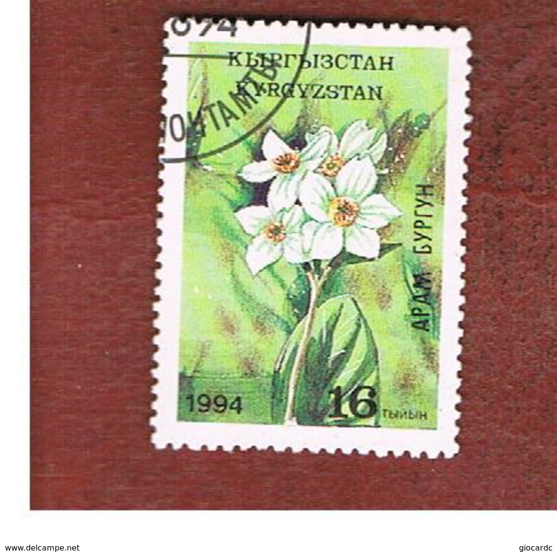 KYRGYZSTAN   - SG 30   -  1994  FLOWERS: NARCISSI -   USED - Kyrgyzstan