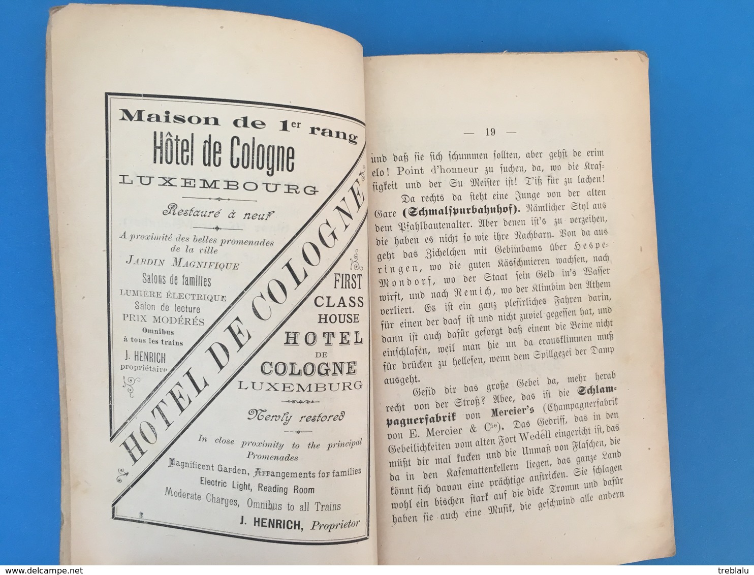 Führer Durch Luxemburg - 1895 - Beaucoup De Publicités - Luxembourg - Ville