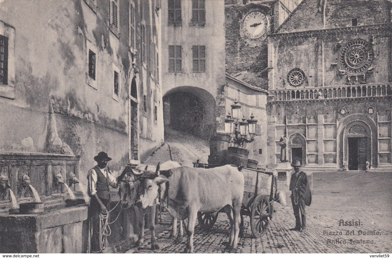 ASSISI-PERUGIA-PIAZZA DEL DUOMO-ANTICA FONTANA-BUOI IN PP-CARTOLINA NON VIAGGIATA ANNO 1915-1925 - Perugia