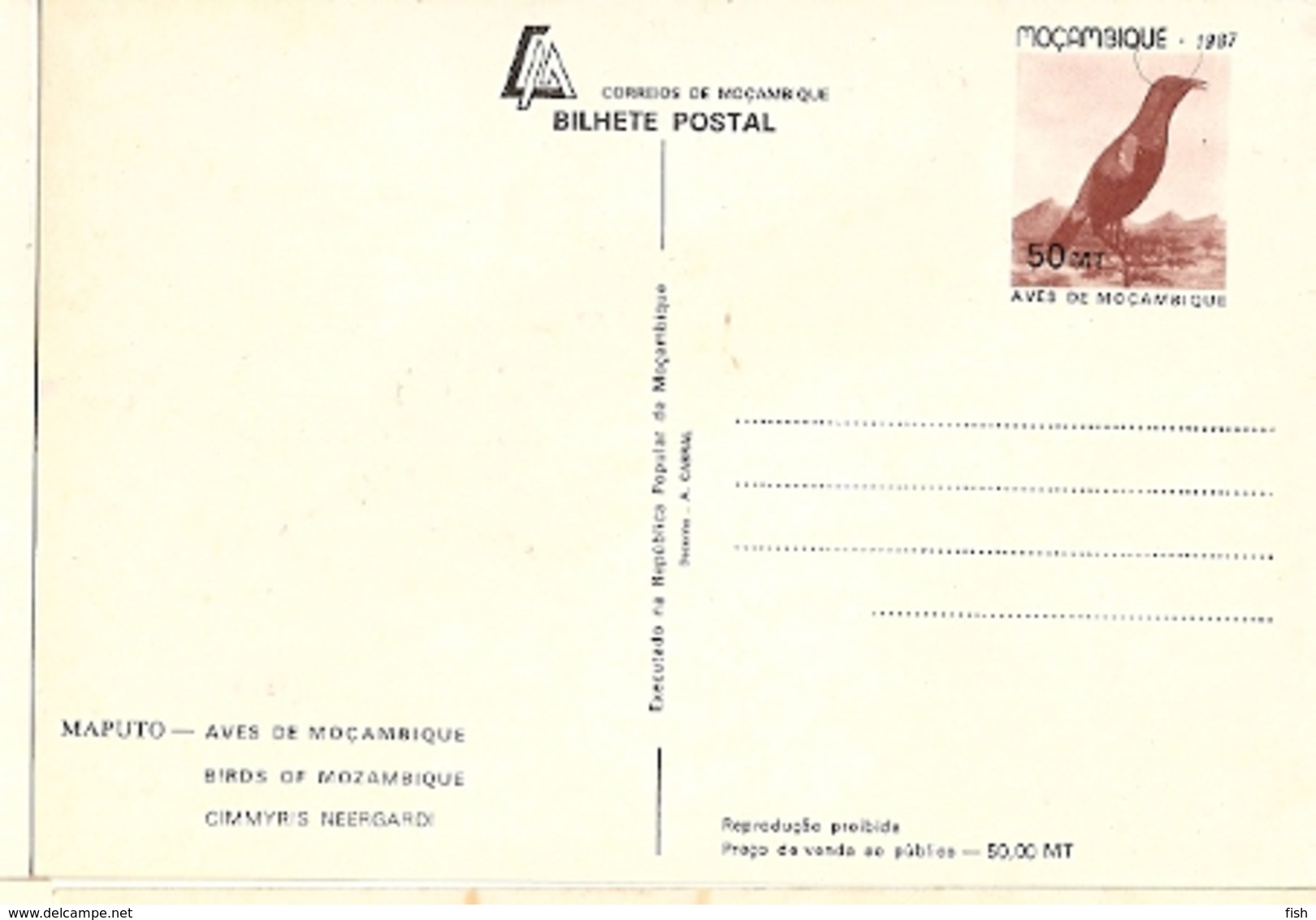 Mozambique ** & Postal Stationery, Birds From Moçambique, Nectarinia Neergardi, Cinnyris Neergaard, Maputo 1987 (7772) - Mozambique