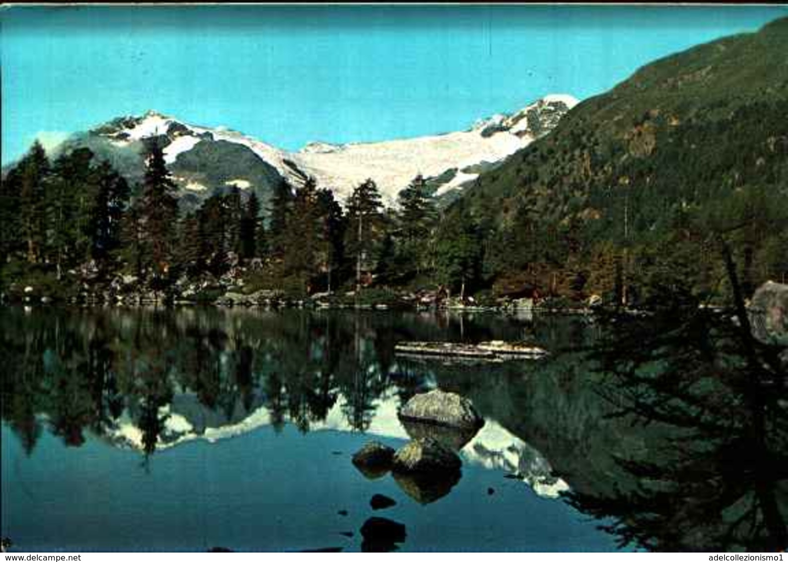 1978) CARTOLINA DEL LAGO DI SASENO- VALLE DI CAMPO-VIAGGIATA - Campo