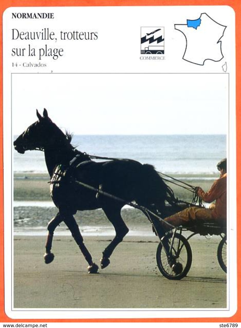 14 DEAUVILLE TROTTEURS SUR LA PLAGE Cheval Calvados  NORMANDIE Géographie Fiche Illustrée Documentée - Géographie