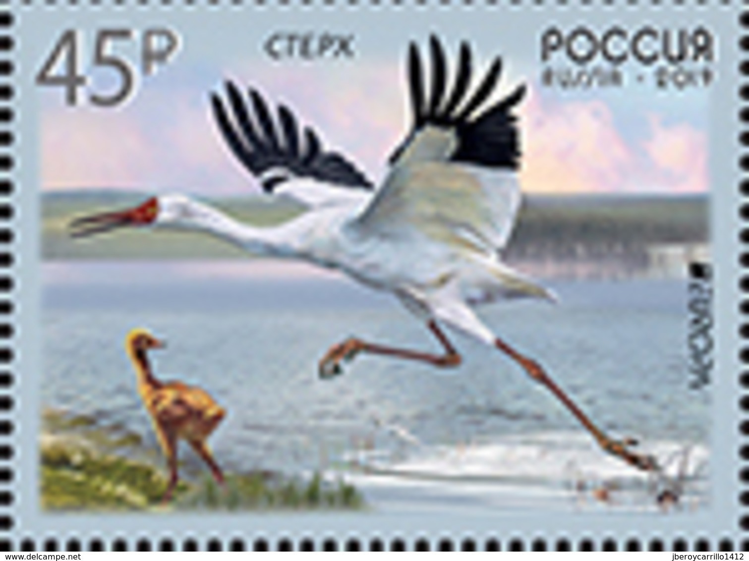 RUSIA 2019 /RUSSLAND /RUSSIA - EUROPA 2019 -" AVES - BIRDS - VÖGEL - OISEAUX"- GRULLA BLANCA DE SIBERIA - SERIE De 1 V. - 2019