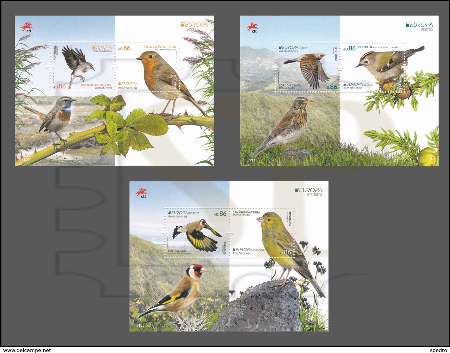 Aves Portugal EUROPA 2019 Birds Oiseaux Vögel Pájaros Uccelli Regullus Erithacus Serinus Luscinia Carduelis Tordo Turdus - Otros & Sin Clasificación