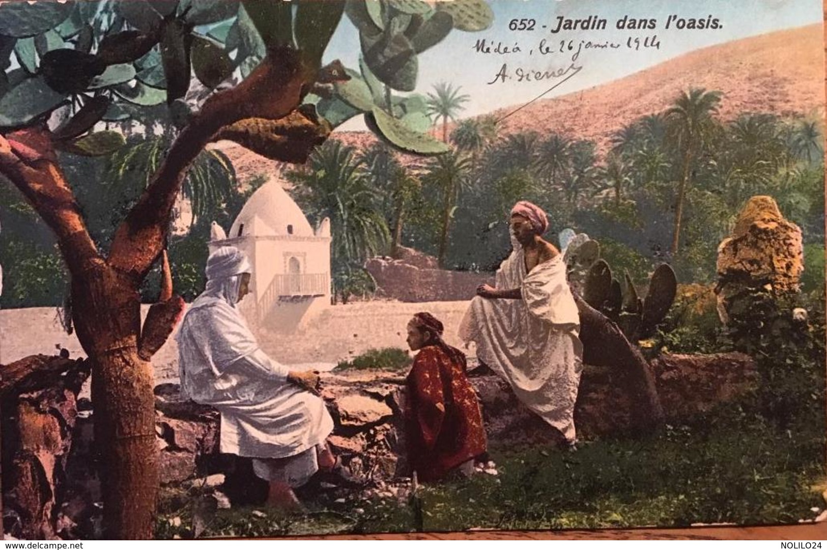 CPA Jardin Dans L'Oasis, Algérie, écrite De Médéa En 1914 - Medea