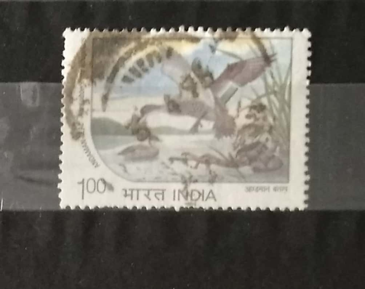 India 1994 Water Bird Andaman Teal 1R Used Withdrawn Unissued Very Scarce Used - Used Stamps
