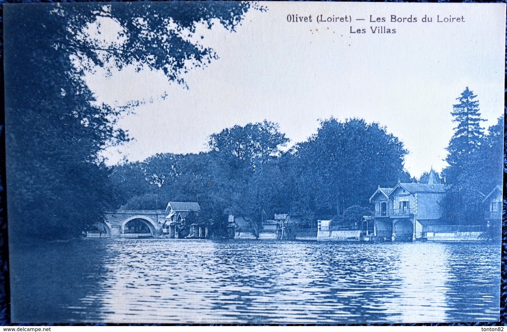 Olivet - Les Bords Du Loiret - Les Villas . - Autres & Non Classés