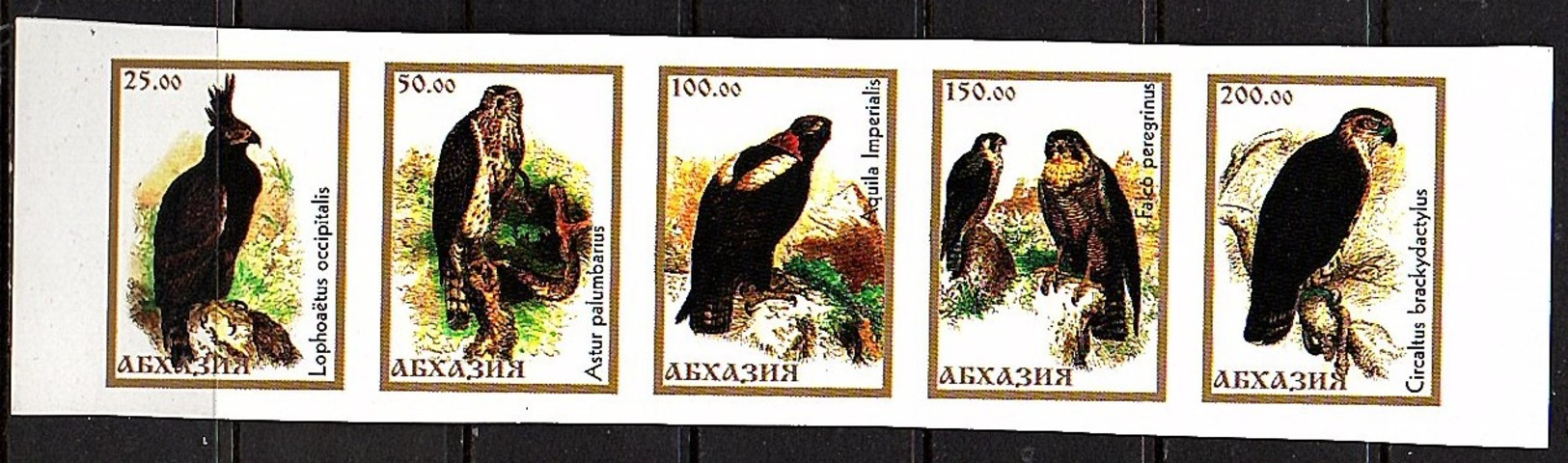 Falcon MNH Strip Of 5 Imperforated (which Country?) MNH (r202) - Eagles & Birds Of Prey