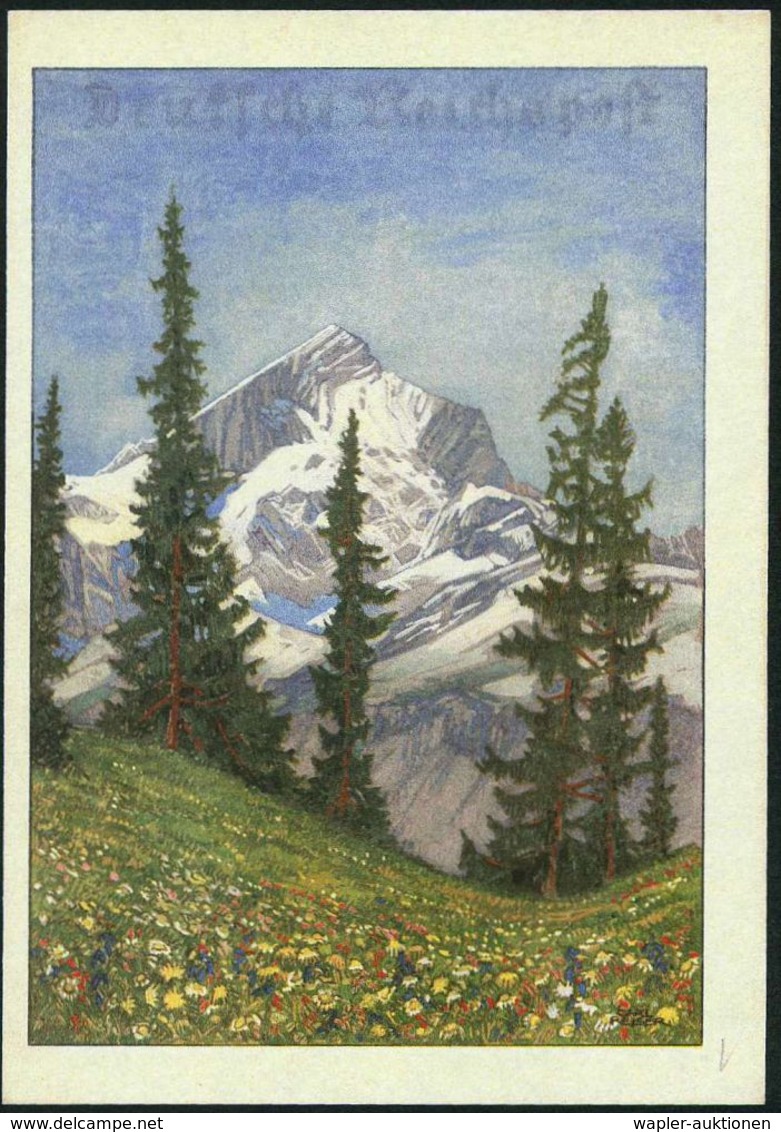 DEUTSCHES REICH 1941 (24.10.) Schmuckblatt-Telegramm: Alpen-Panorama (Tannen,Blumenwiese, Rs. Geschützte Alpenblumen) Be - Zonder Classificatie