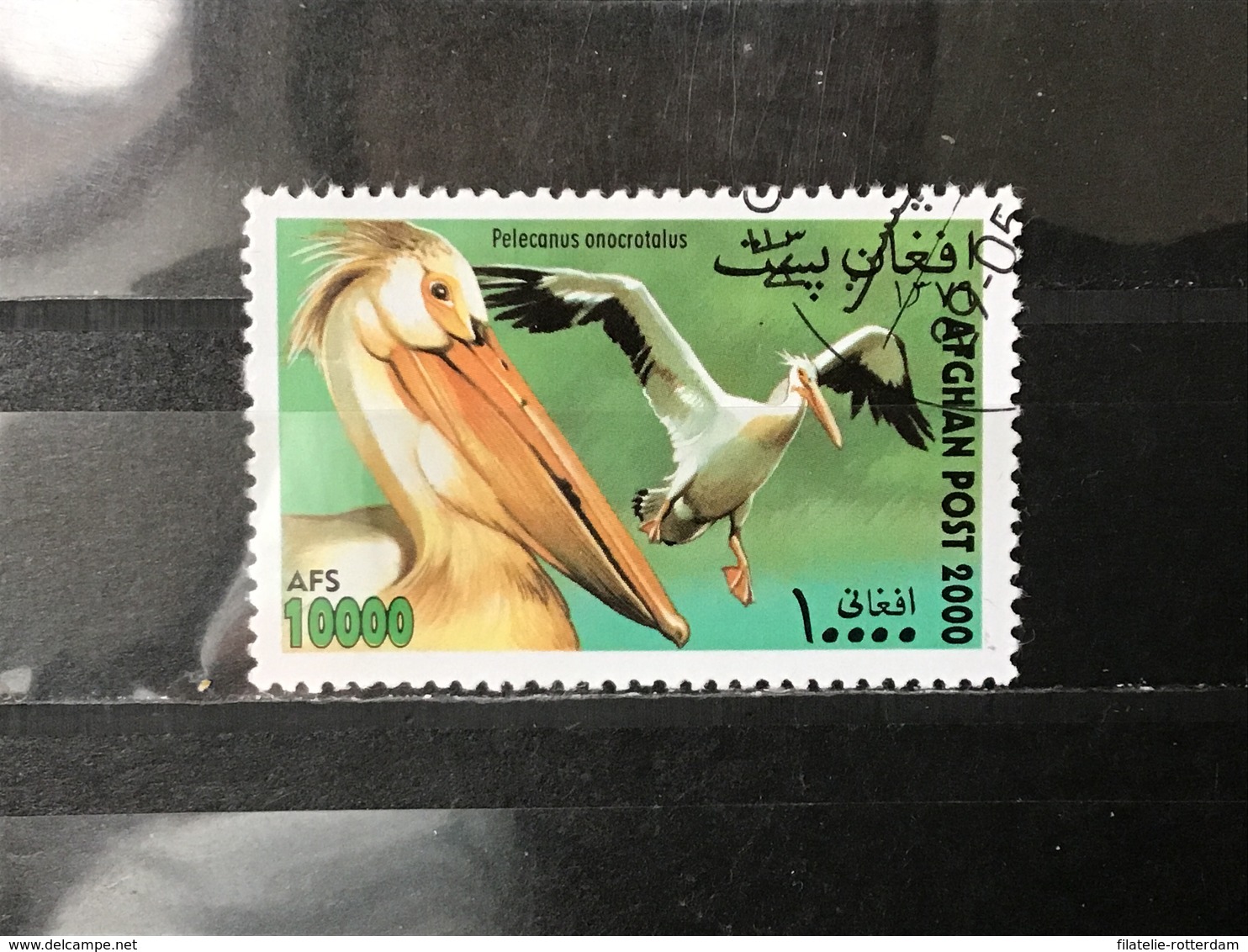 Afghanistan - Vogels (10000) 2000 - Afghanistan