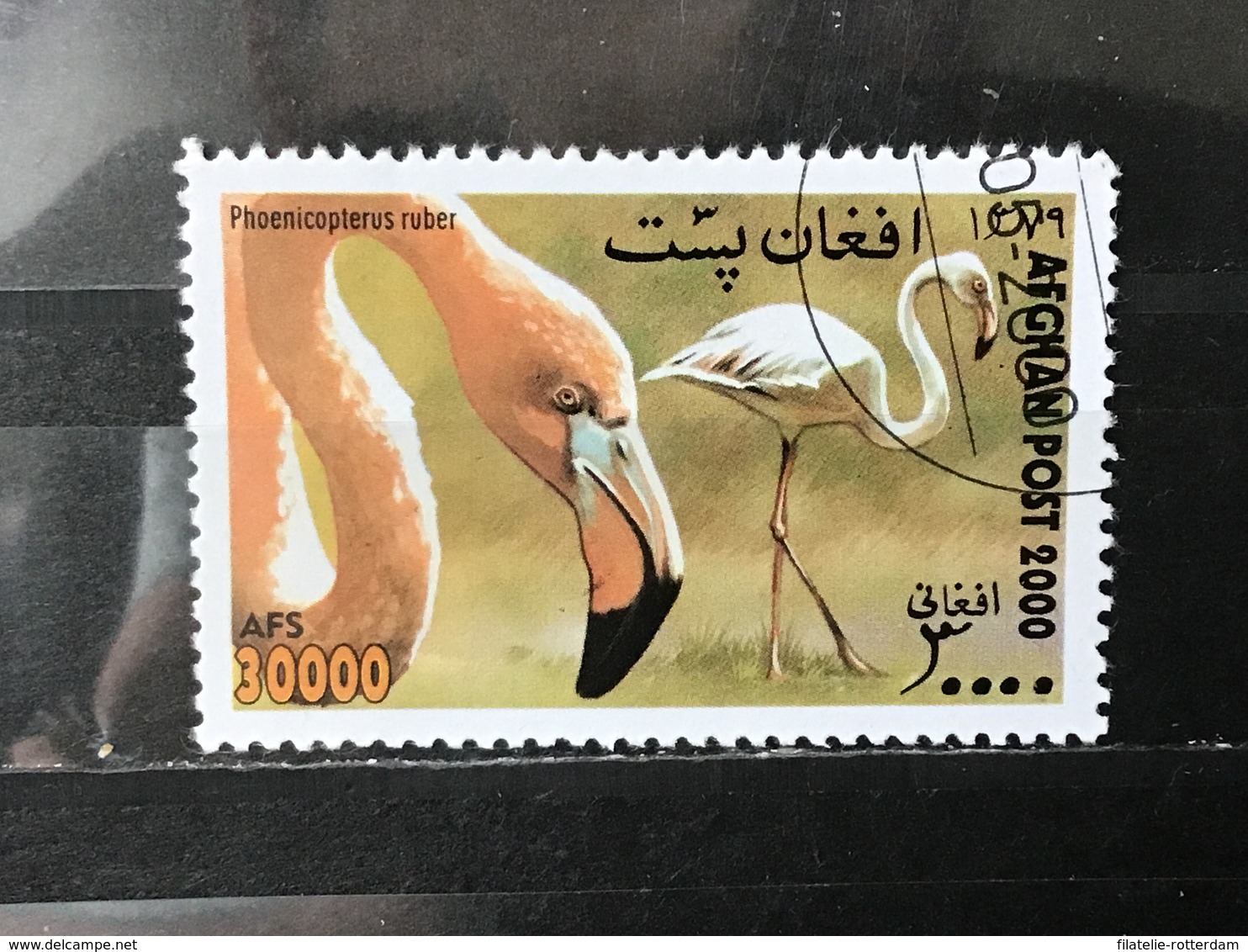 Afghanistan - Vogels (30000) 2000 - Afghanistan
