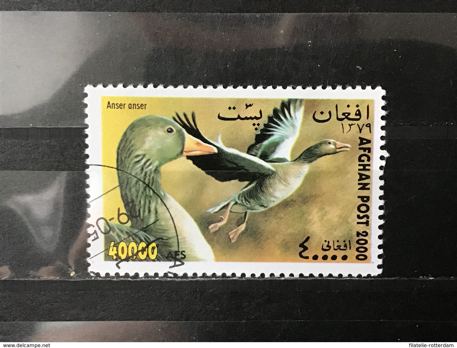 Afghanistan - Vogels (40000) 2000 - Afganistán