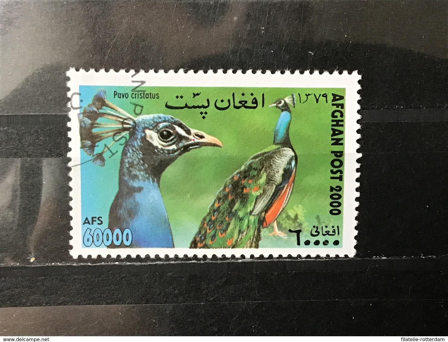 Afghanistan - Vogels (60000) 2000 - Afghanistan