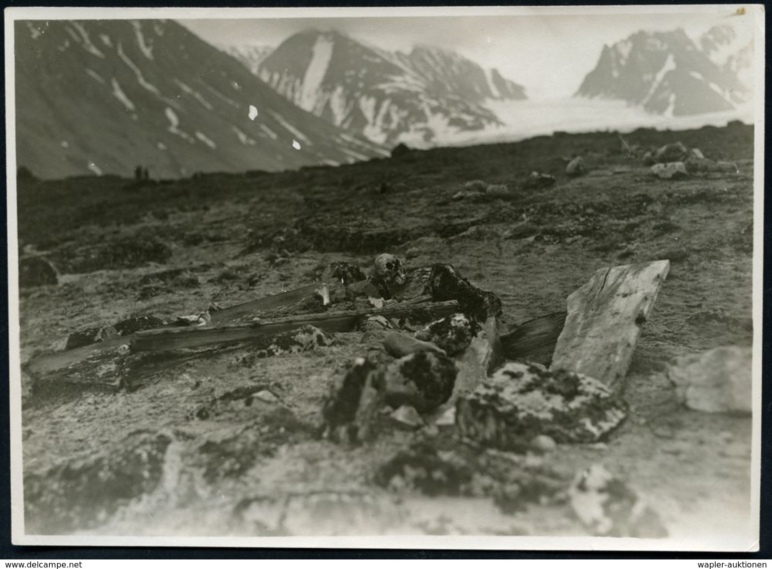 DEUTSCHES REICH 1925 9 Orig. S/w.-Fotos Der Polarfahrt Des Dampfers "München" Nordkap, Spitzbergen U. Island , Meist Im  - Spedizioni Artiche