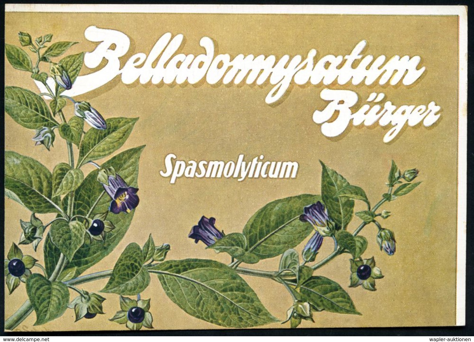 WERNIGERODE/ Ysatfabrik 1930 (16.9.) AFS Auf (halber) Color-Reklame-Kt: Belladonnysatum Bürger.. Spasmolytikum (Belladon - Geneeskunde