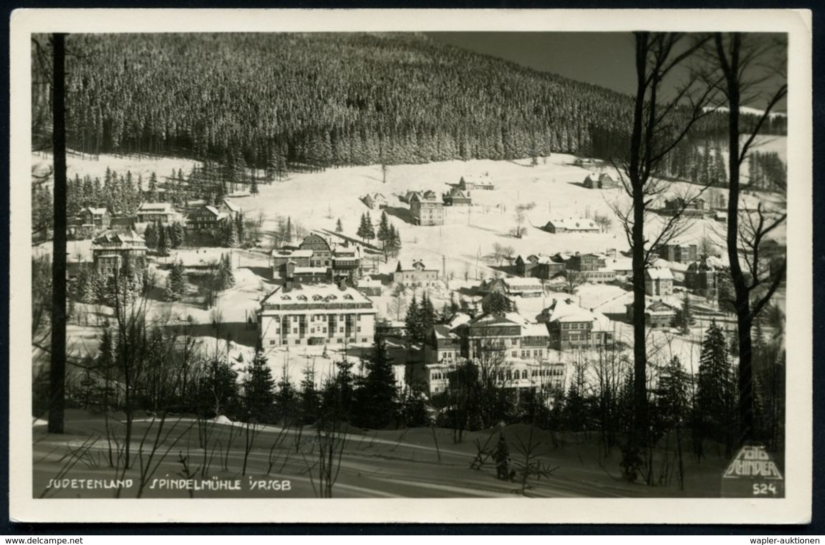 SPINDELMÜHLE (RIESENGEB)/ Deutsche Kriegs-Skimeisterschaften/ 23.-26.1. 1941 (24.1.) HWSt = Skispringer Klar Auf S/w,-Fo - Skiing