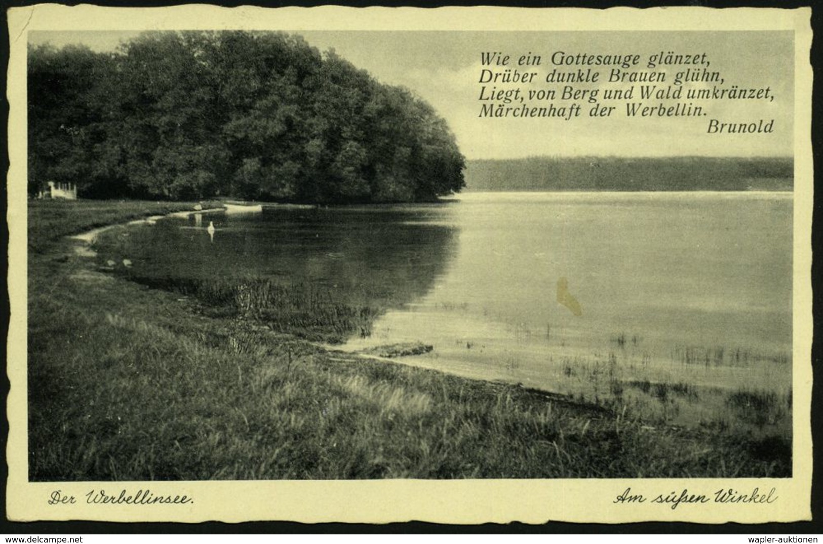 ALTENHOF (SCHORFHEIDE)/ Am Werbellin-See/ Der Schönste See Der Mark 1939 (20.2.) HWSt = Segelboot Klar Gest. S/w.-Foto-A - Altri & Non Classificati